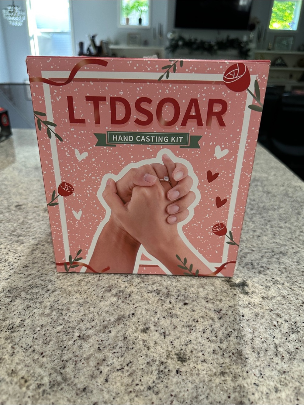 Hand Casting Kit
